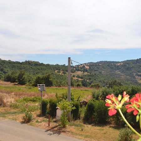 Agriturismo Masseria Castiglione Gallicchio Kültér fotó